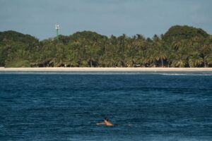 Destination Maldives : le guide