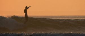 Free-surf : un edit du log au twin en passant par le edge