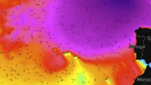 Nazaré et Hawaï en alerte : l’hiver déchaîne ses vagues monstres