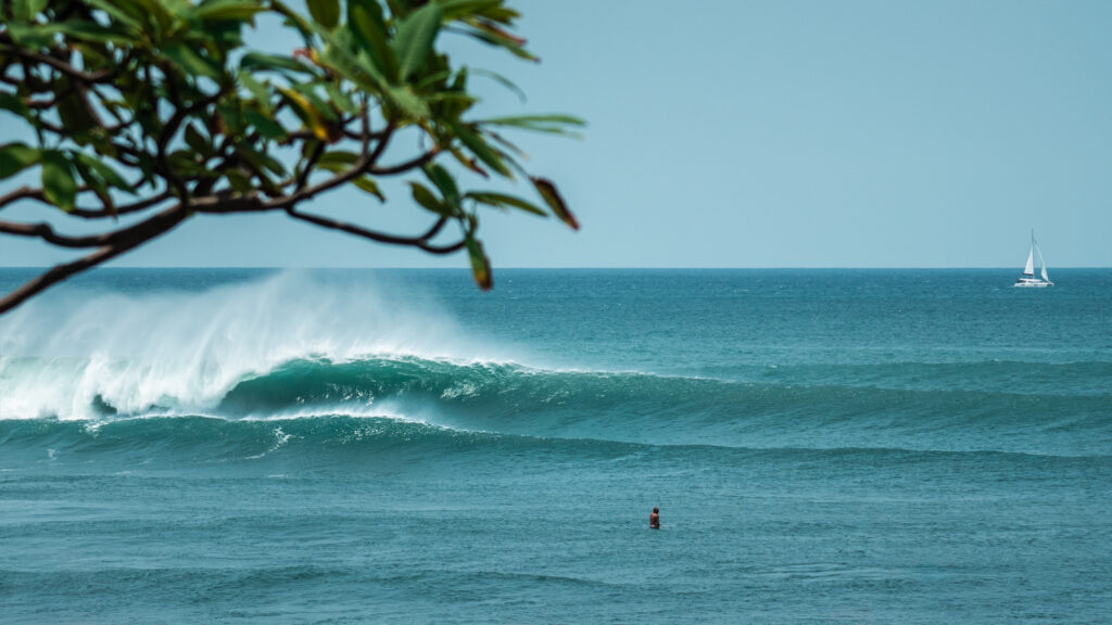 Las Plumerias Surf Camp