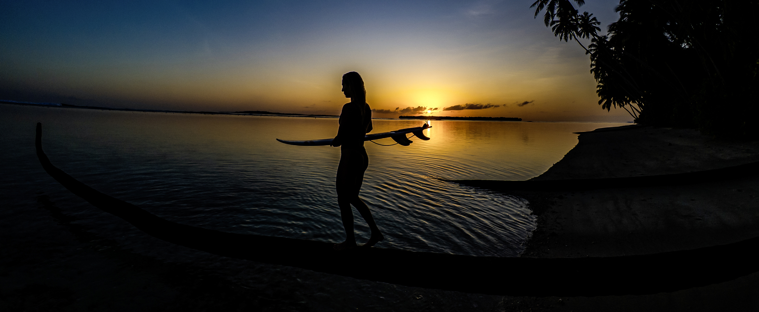 Laura Coviella signe son retour avec Tropic Fever