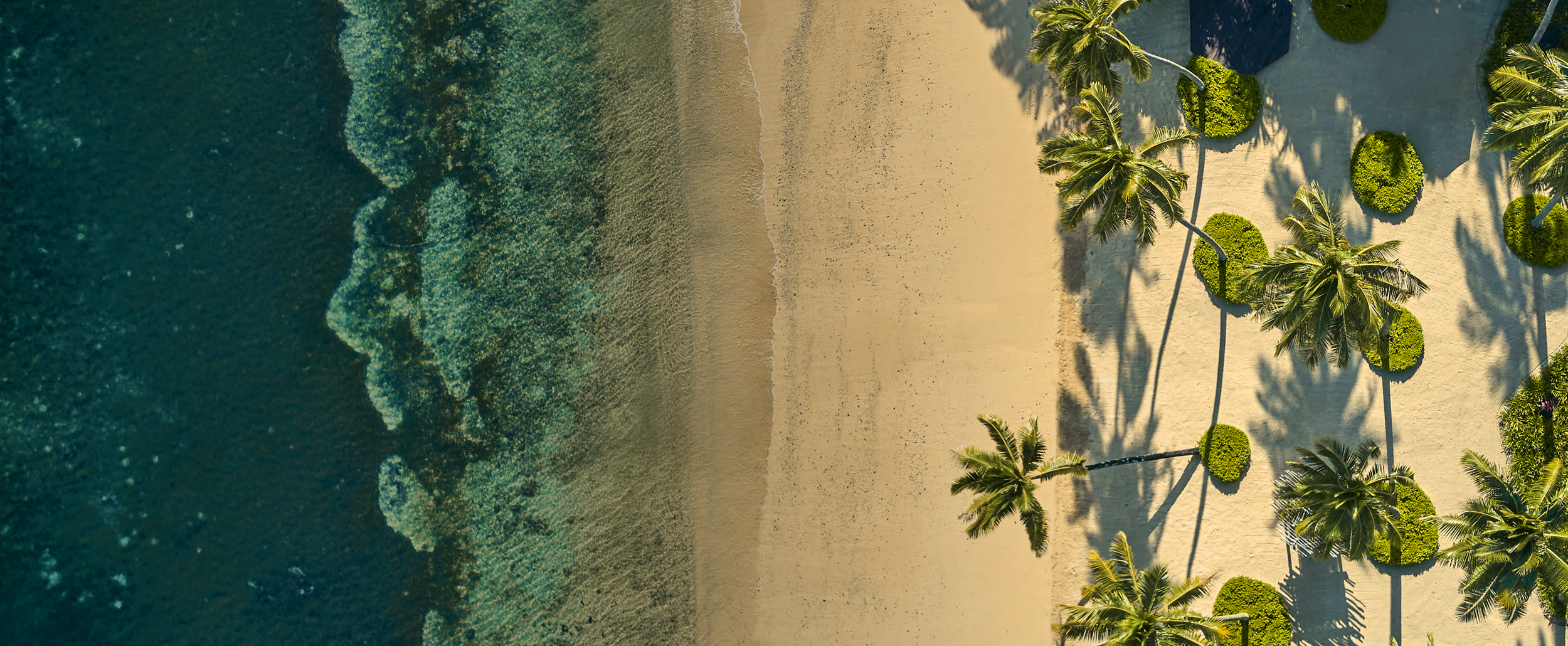 Winter Sun, 7 lieux à découvrir