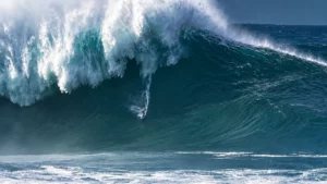 Michelle Des Bouillons&nbsp;: une vague de 25 mètres à Nazaré et un record du monde en ligne de mire